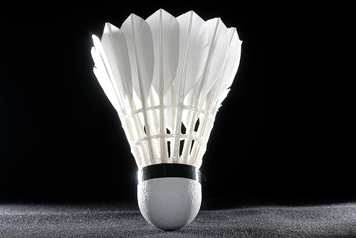 Le site de l’ESS refait peau neuve